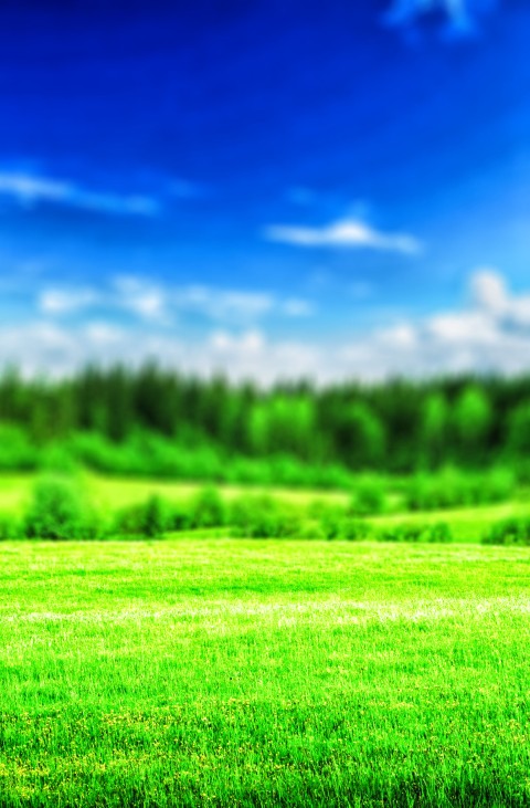 Grass CB Editing Background Full HD Free Download