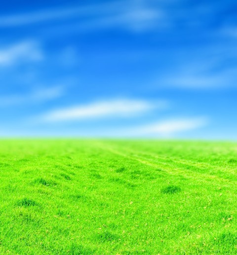 Grass CB Photo  Editing Background Full HD Download