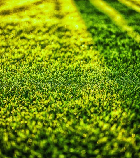 Grass CB Photoshop  Background Full HD Download