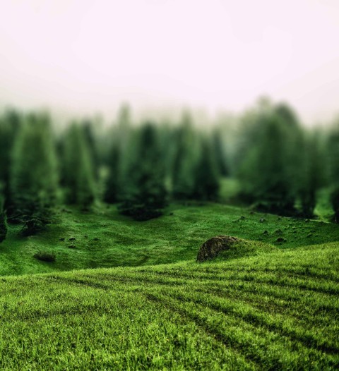 Grass CB Picsart Editing Background Full HD Download