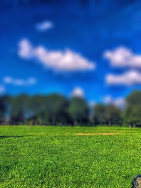 Grass CB Picsart Editing Background Full HD Download