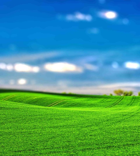 Grass CB Picsart Editing Background Full HD Download