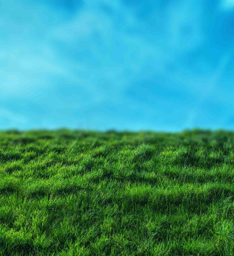 Grass CB Picsart Editing Background Full HD Download