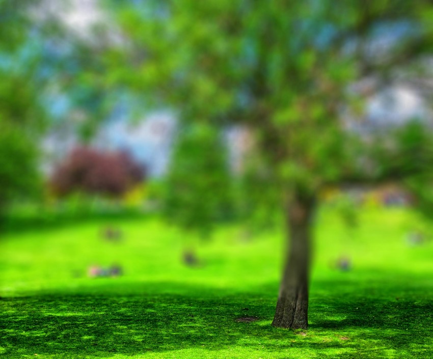 Grass CB Picsart Editing Background Full HD Download