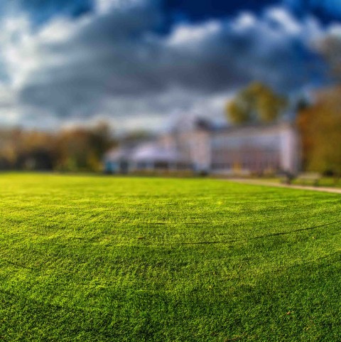 Grass CB Picsart Editing Background Full HD Download