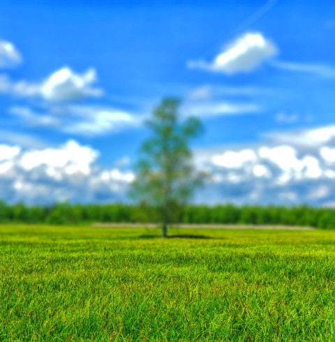 Grass Field Blue Sky CB Picsart Editing Background Full HD