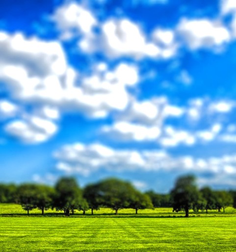 Grass Field Blue Sky CB Picsart Editing Background HD Download Free