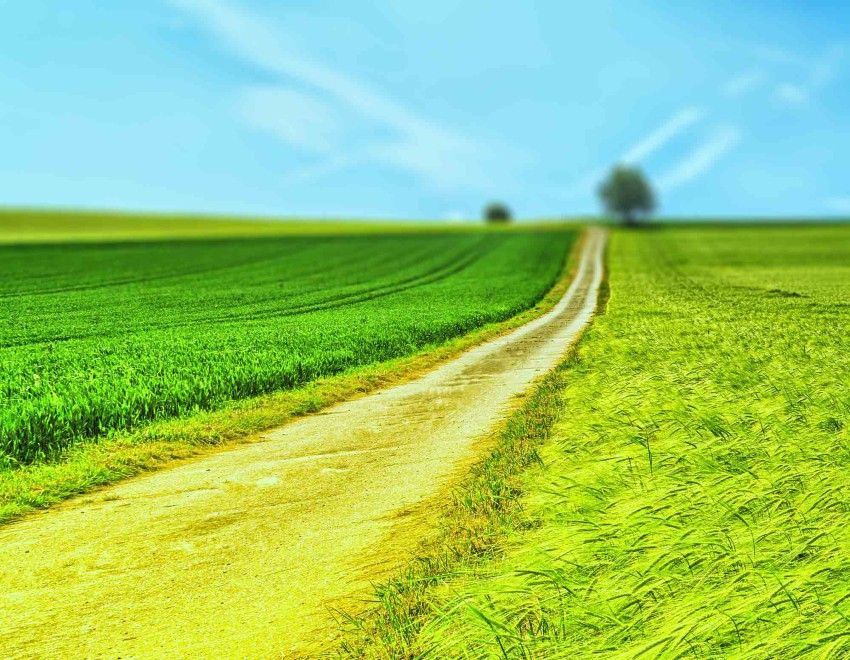 Grass Field Blue Sky Editing Background Full HD Download