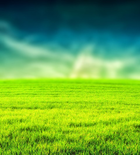 Grass Field Blur CB  Editing Background Full HD