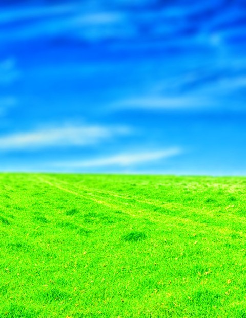 Grass Field Blur CB Picsart Editing Background Full HD