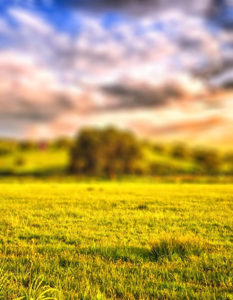 Grass Field CB Photoshop  Editing Background Full HD