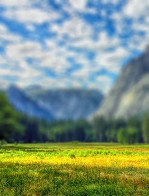 Grass Field CB Picsart Editing Background Full HD Download