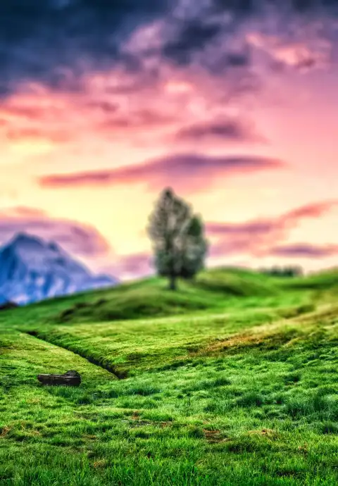 Grass Field CB Picsart Editing Background HD Download