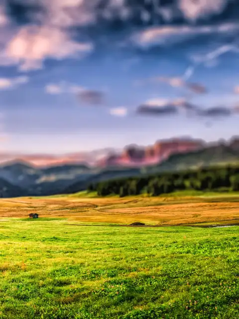 Grass Field CB Picsart Editing Background HD Download