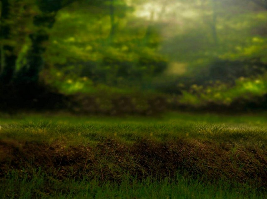 Grass Field Full Hd CB Background