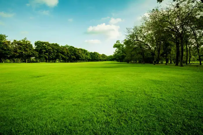 Grass Field With Blue Sky Cloud Background HD Images Free