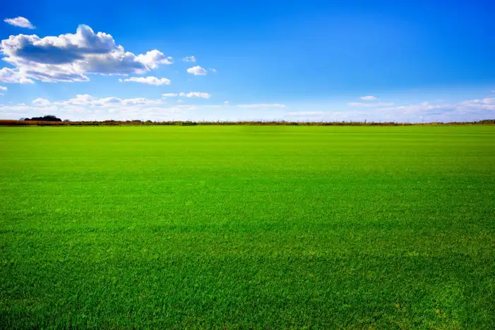 Grass Field With Sky Cloud Background HD Images Free