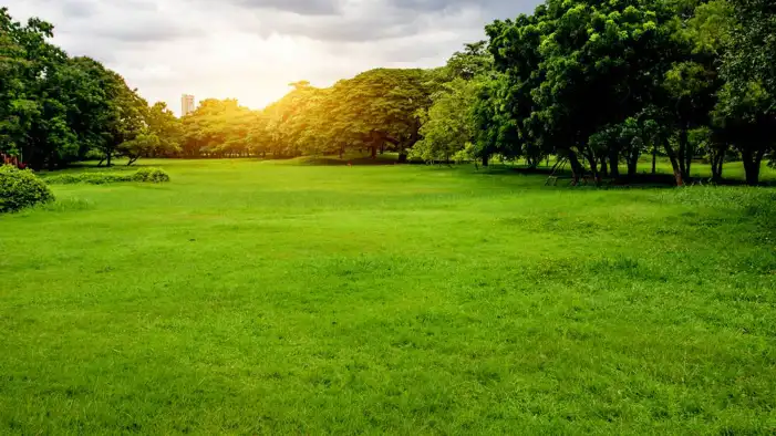 Grass Gield With Sky Background HD Images Free