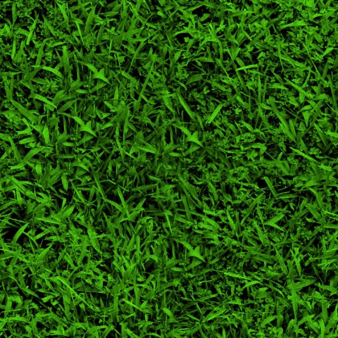 Grass HQ Background Images Photos Download