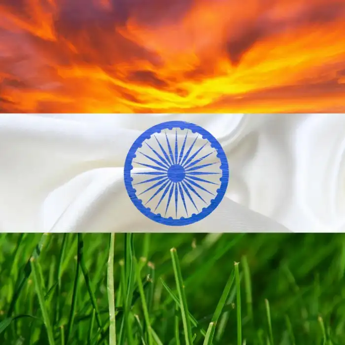 Grass India Flag Background HD Images Wallpapers (