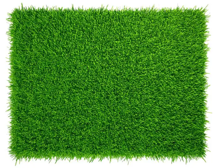 Grass Mat Texture Green Background HD Images Free