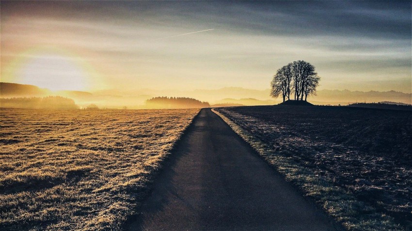 Grass Nature Road Background HD Download