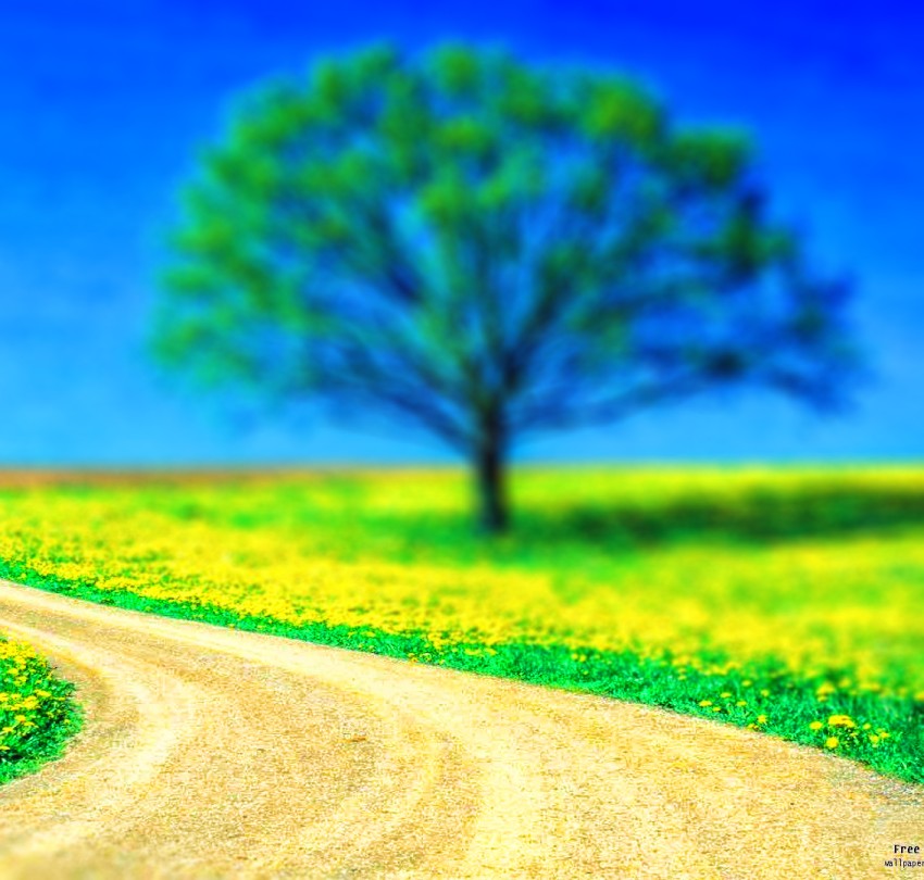 Grass Road Blur CB Picsart Editing Background Full HD