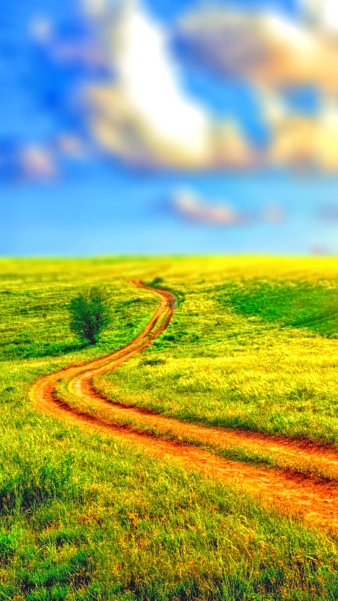 Grass Road CB Picsart Editing Background Full HD Free