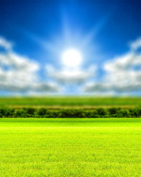 Grass Sun Sky CB Picsart Editing Background Full HD