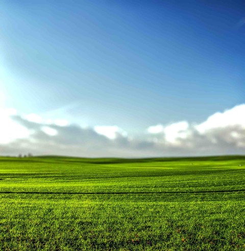 Grass With Sky CB  Editing Background Full HD Download