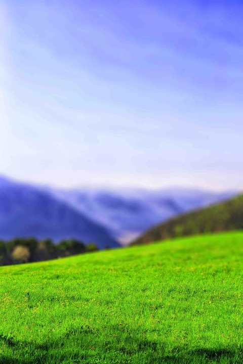 Grass With Sky CB  Editing Background Full HD Download