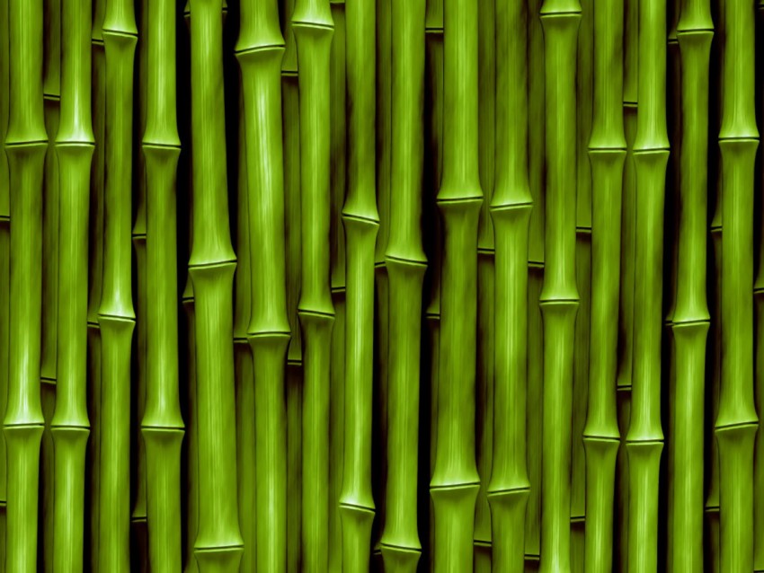 Green Bamboo Background High Resolution Download (31)