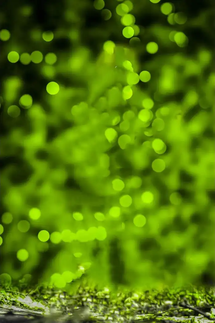 Green Blur Bokeh Snapseed Editing Background HD