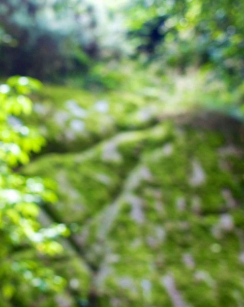 Green Blur High Reslolution Background Full HD Download