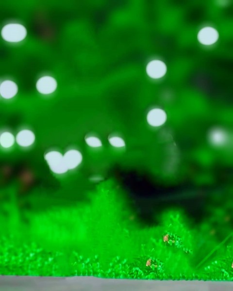 Green Blur PicsArt Editing Background Full HD Download