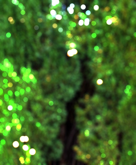 Green Blur Tree CB Editing Background HD Download