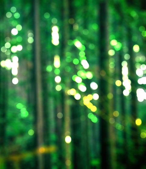 Green Blur Tree CB Picsart Editing Background HD Download