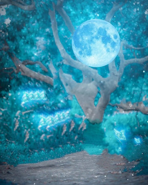 Green Blur Moon Tree Picsart Background