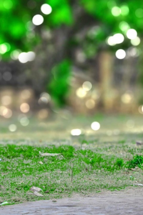 Green Blurred PicsArt CB Editing  Background HD