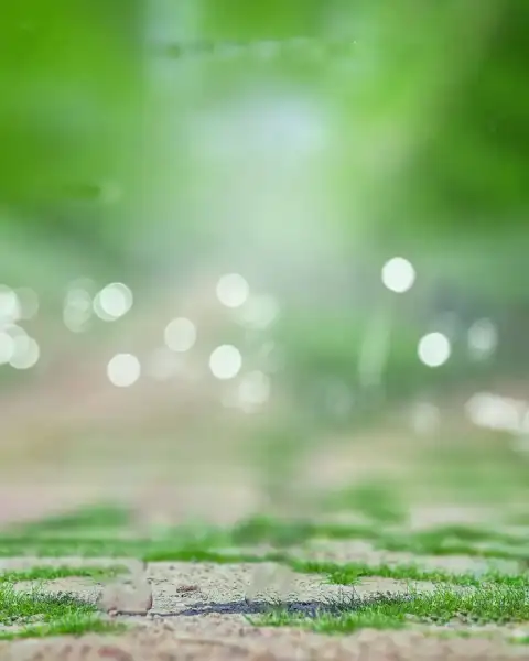 Green Bokeh Blur Picsart Background HD Download