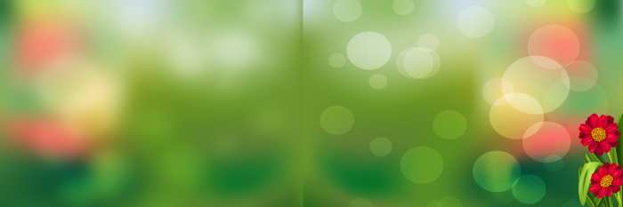 Green Bokeh Wedding Album Background Image Download