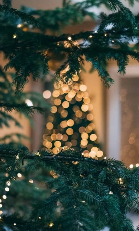 Green Christmas Tree Wallpaper Background HD Download