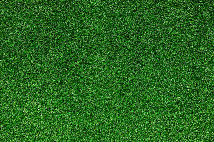 Green Editing Grass Field Background HD Images Free