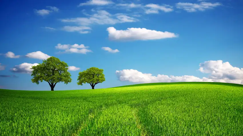 Green Farm Field Background HD Download