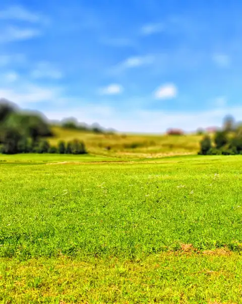 Green Field CB Picsart Editing Background HD Download