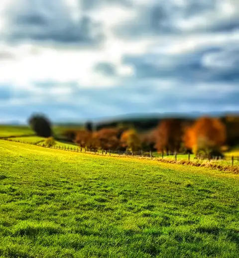 Green Field CB Picsart Editing Background HD Download