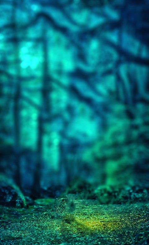 Green Forest CB Editing Background Full HD Download