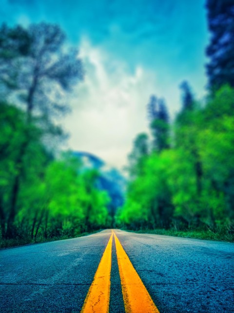 Green Forest Road CB Picsart Editing Background HD Download