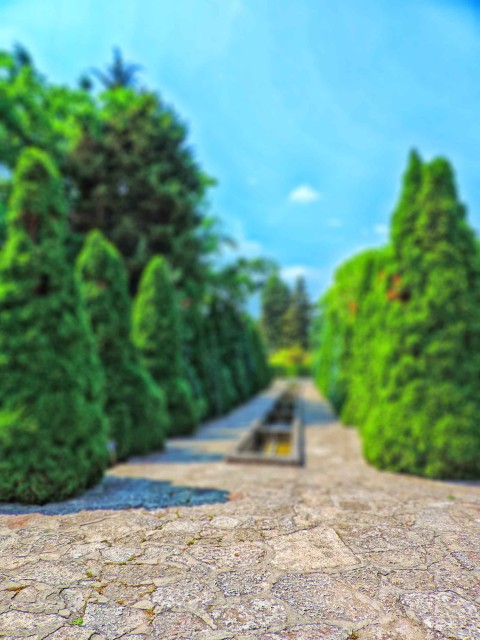 Green Garden CB  Editing Background HD Download