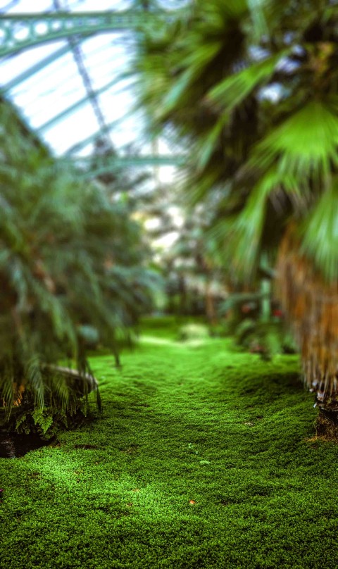 Green Garden CB Picsart Editing Background Full HD Download